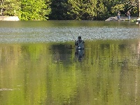 Halfway Lake